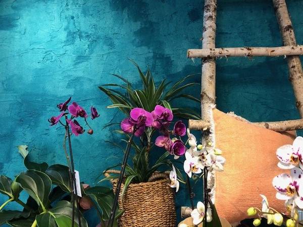 Bloemsierkunst Florina - Landsmeer (Verrassingspakket) - Netherlands - Too Good To Go