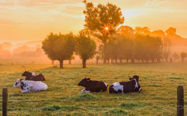 Fleisch-Fachgeschäft Flechsig - Kamen (Überraschungstüte) - Germany - Too Good To Go